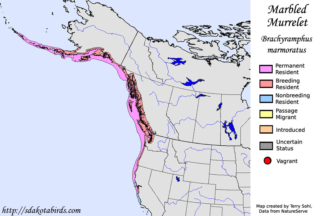 Marbled Murrelet - North American Range Map