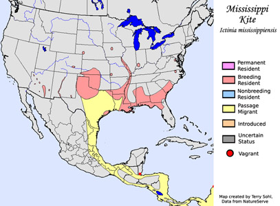 Mississippi Kite - Range Map