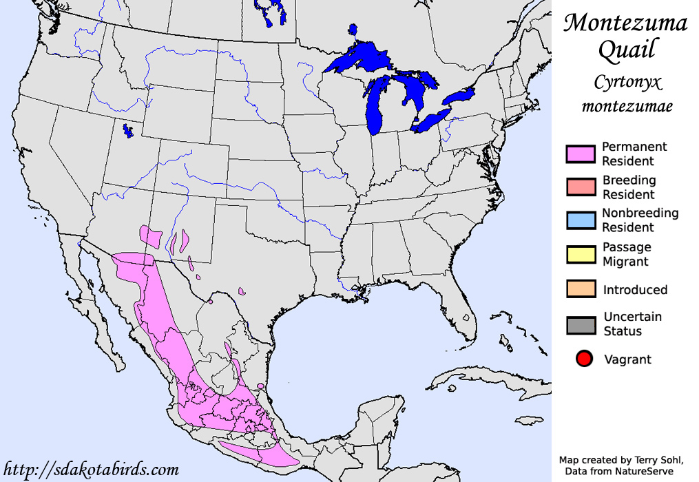 Montezuma Quail - North American Range Map
