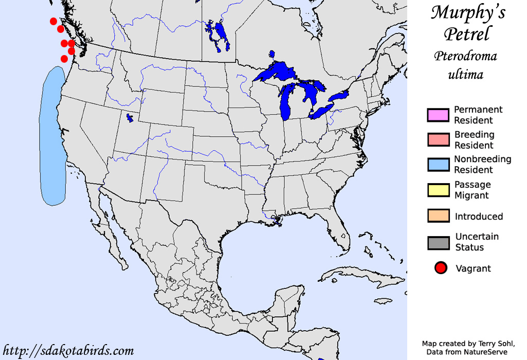 Murphy's Petrel - North American Range Map