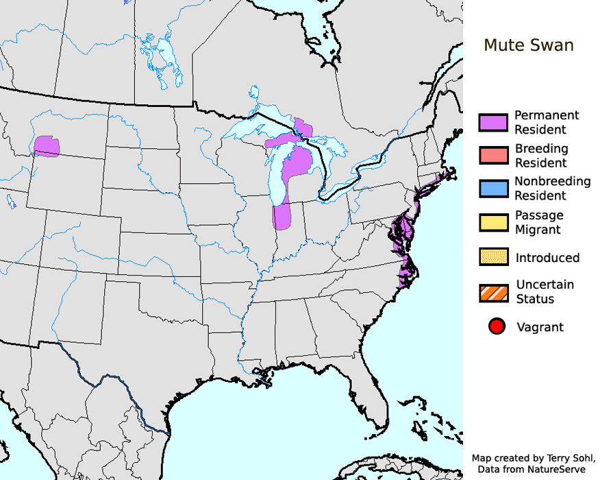 Mute Swan - North American Range Map