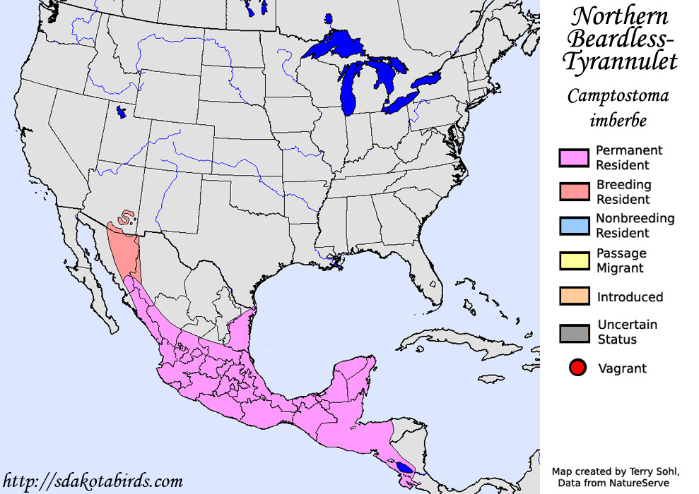 Northern Beardless-Tyrannulet - North American Range Map