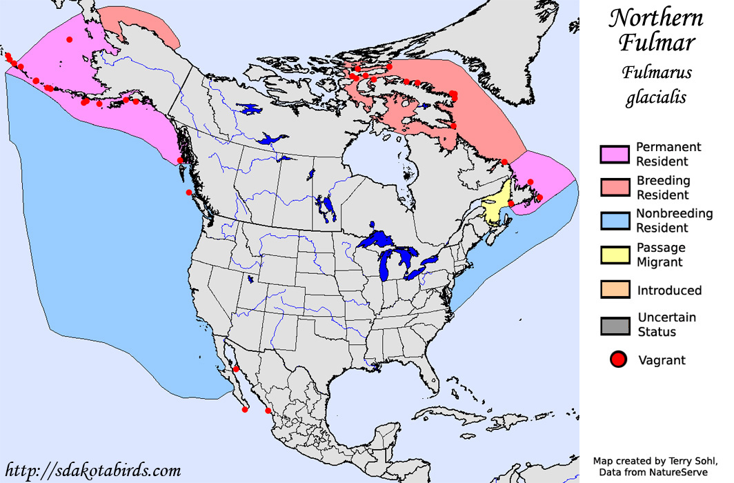 Northern Fulmar - North American Range Map