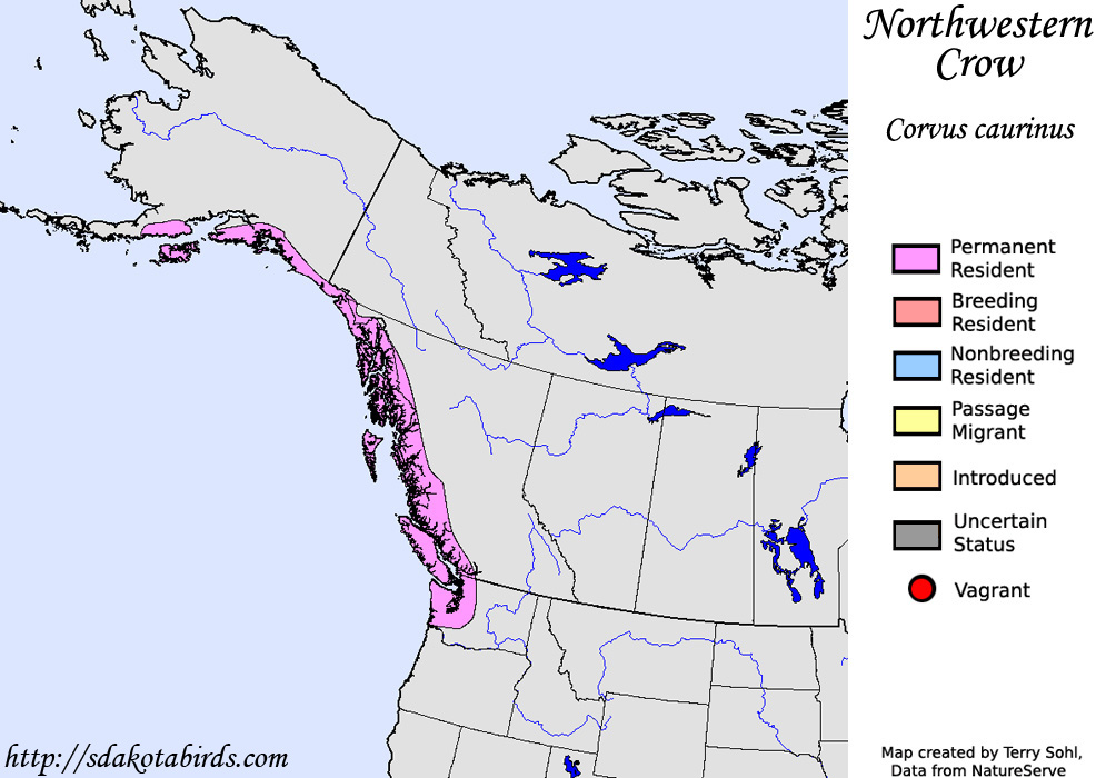 Northwestern Crow - North American Range Map