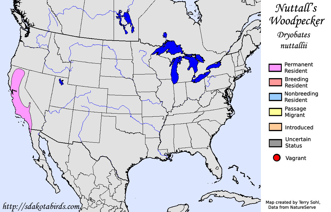 Nuttall's Woodpecker - North American Range Map