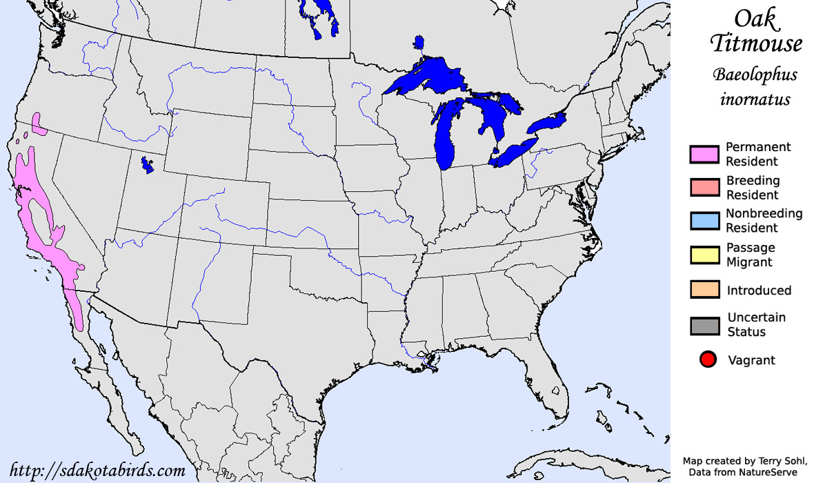Oak Titmouse - North American Range Map