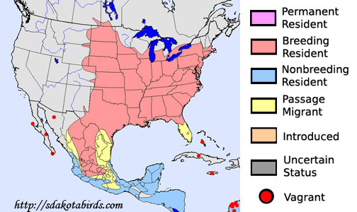 Orchard Oriole - Species Range Map
