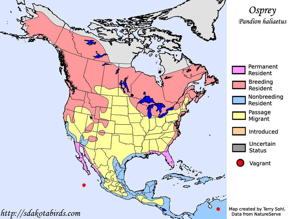 Osprey - Pandion haliaetus - Range Map