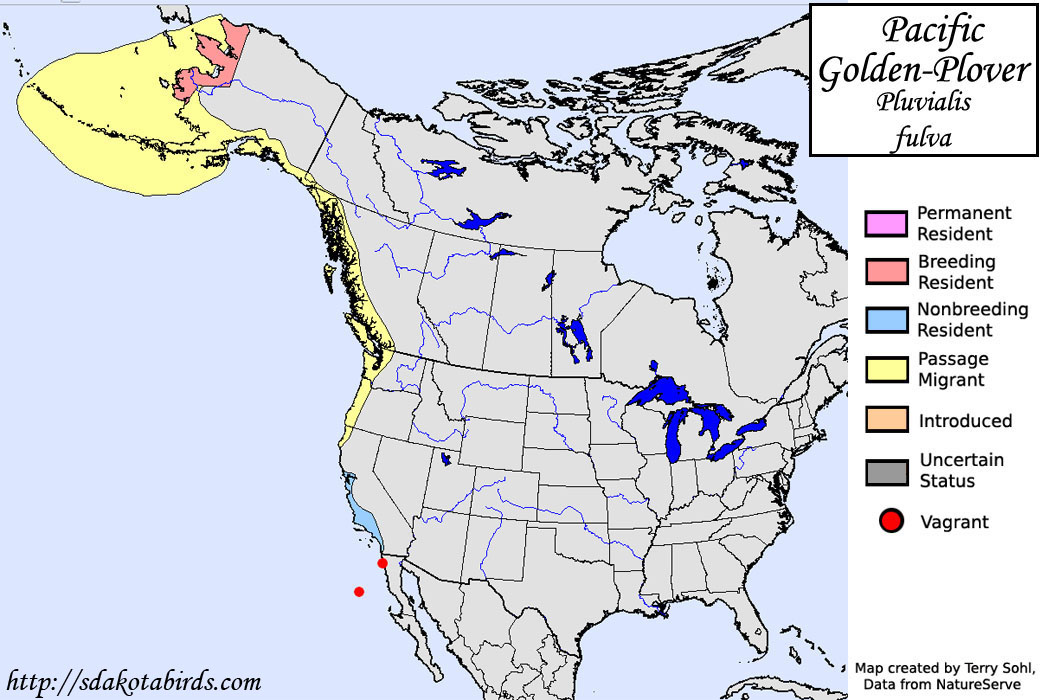 Pacific Golden-Plover - North American Range Map