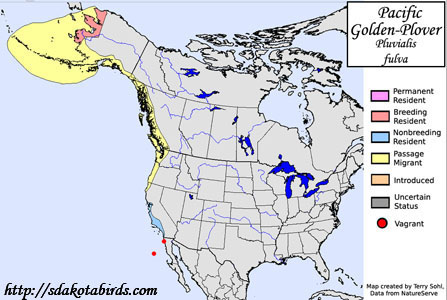 Pacific Golden-Plover - Range Map