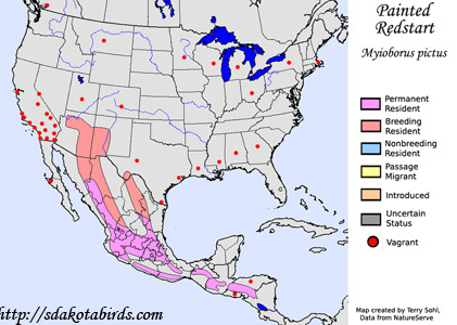 Painted Redstart - Range Map