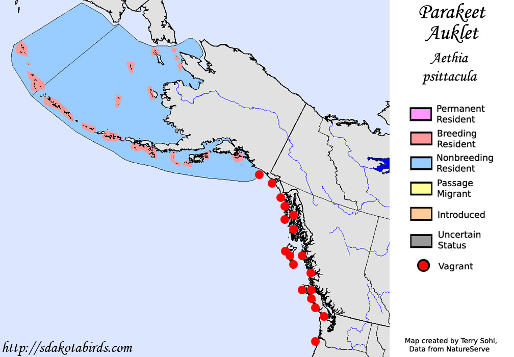 Parakeet Auklet - North American Range Map