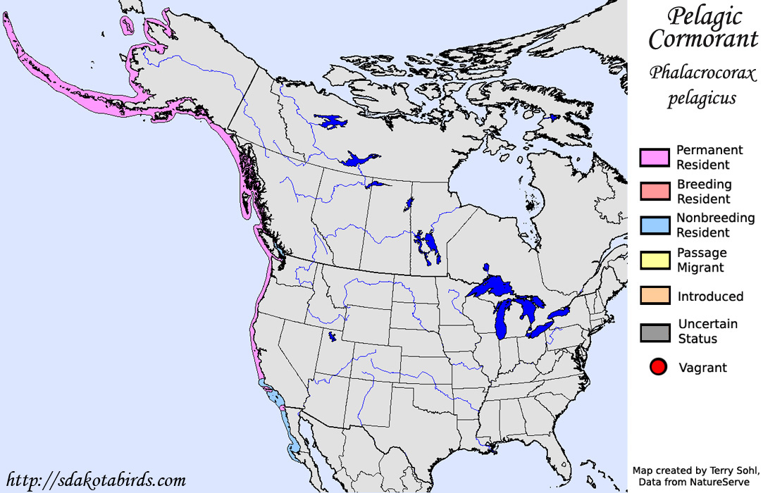 Pelagic Cormorant - North American Range Map
