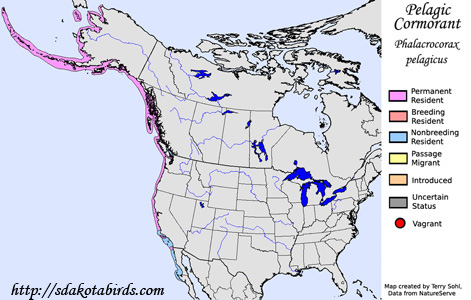 Pelagic Cormorant - Range Map