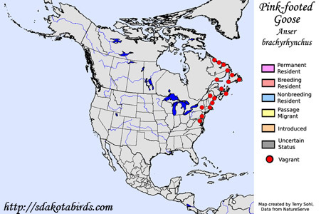 Pink-footed Goose - North American Range Map