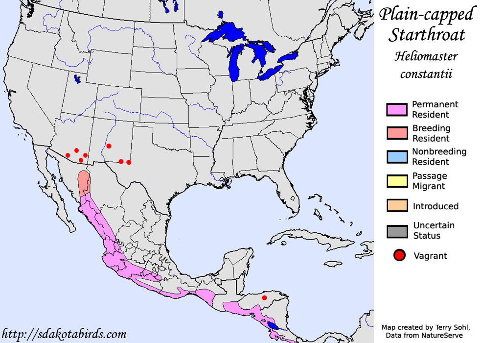Plain-capped Starthroat - North American Range Map