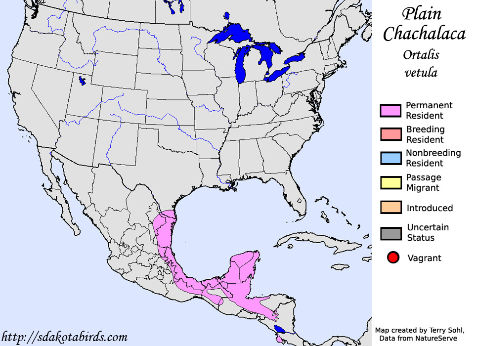 Plain Chachalaca - North American Rang Map