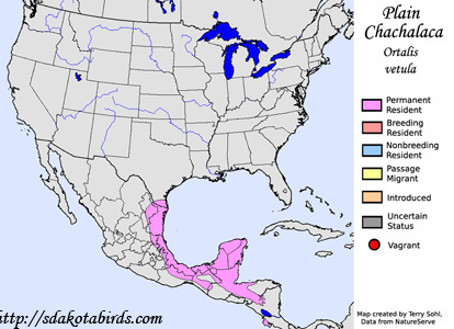 Plain Chachalaca - Range Map