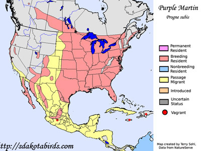 Purple Martin - Range Map