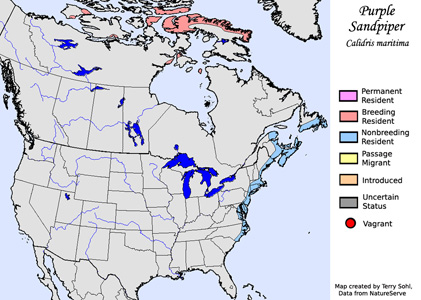 Purple Sandpiper - Range Map