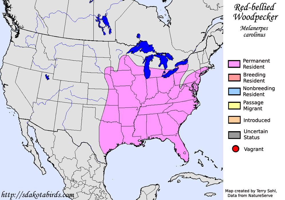 Red-bellied Woodpecker - Melanerpes carolinus - Range Map