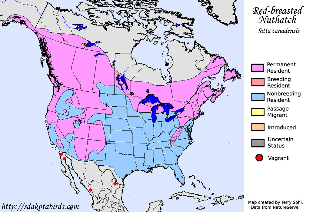 Red-breasted Nuthatch - Range Map