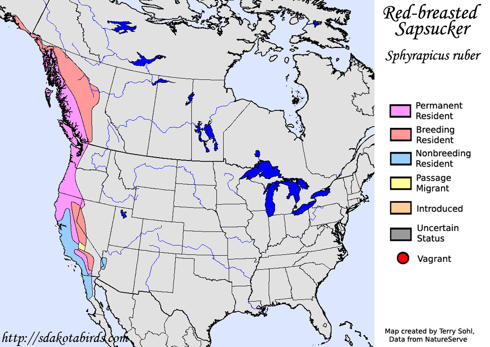 Red-breasted Sapsucker - North American Range Map