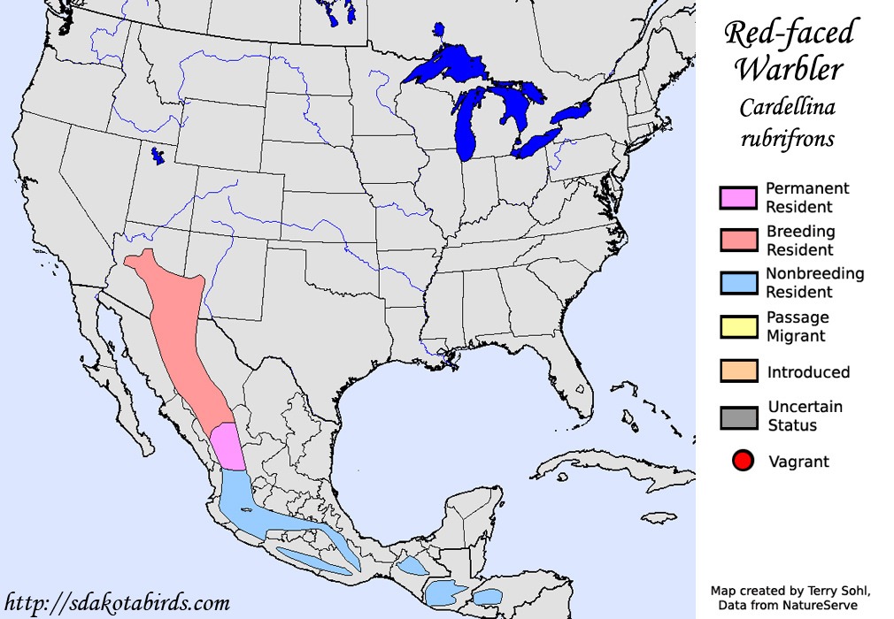 Red-faced Warbler - North American Range Map