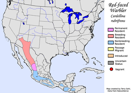 Red-faced Warbler - Range Map