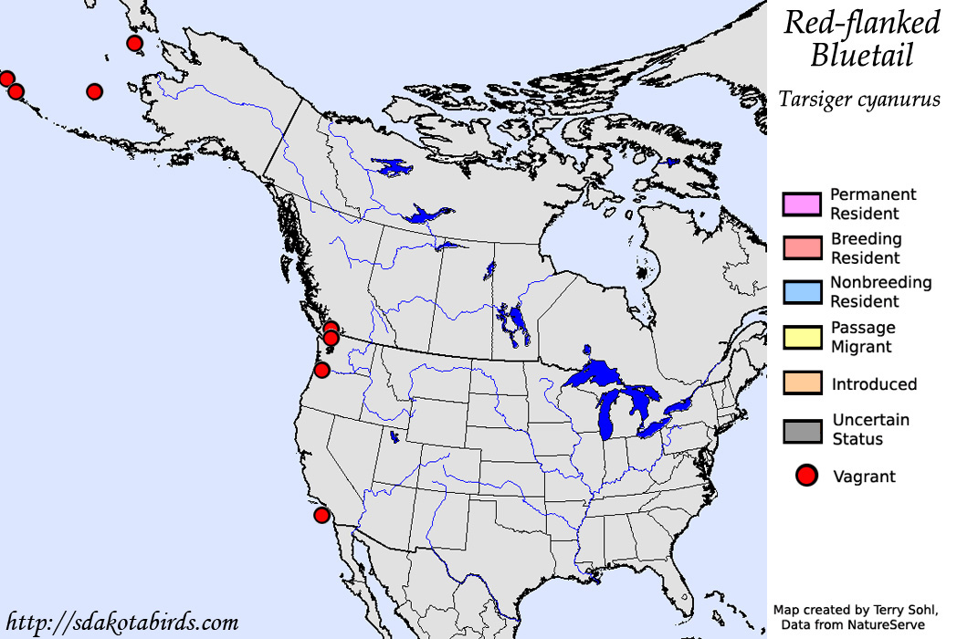 Red-flanked Bluetail - North American Range Map
