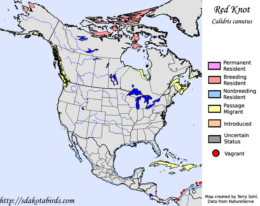 Red Knot - Range Map