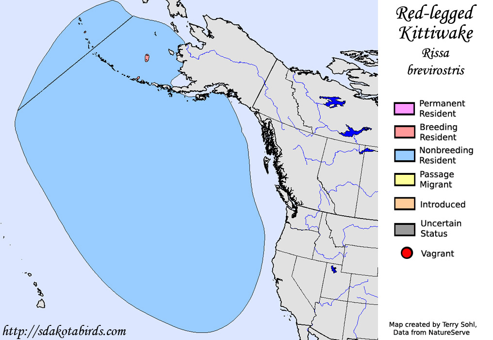 Red-legged Kittiwake - North American Range Map