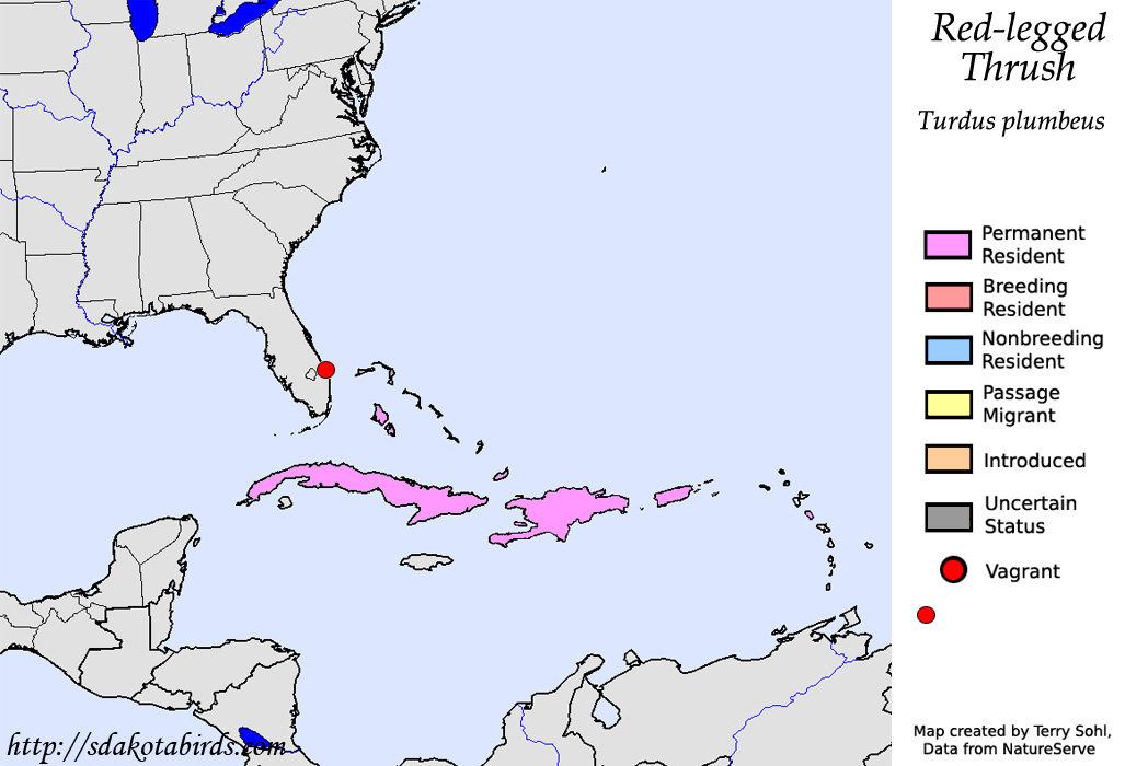 Red-legged Thrush - North American Range Map