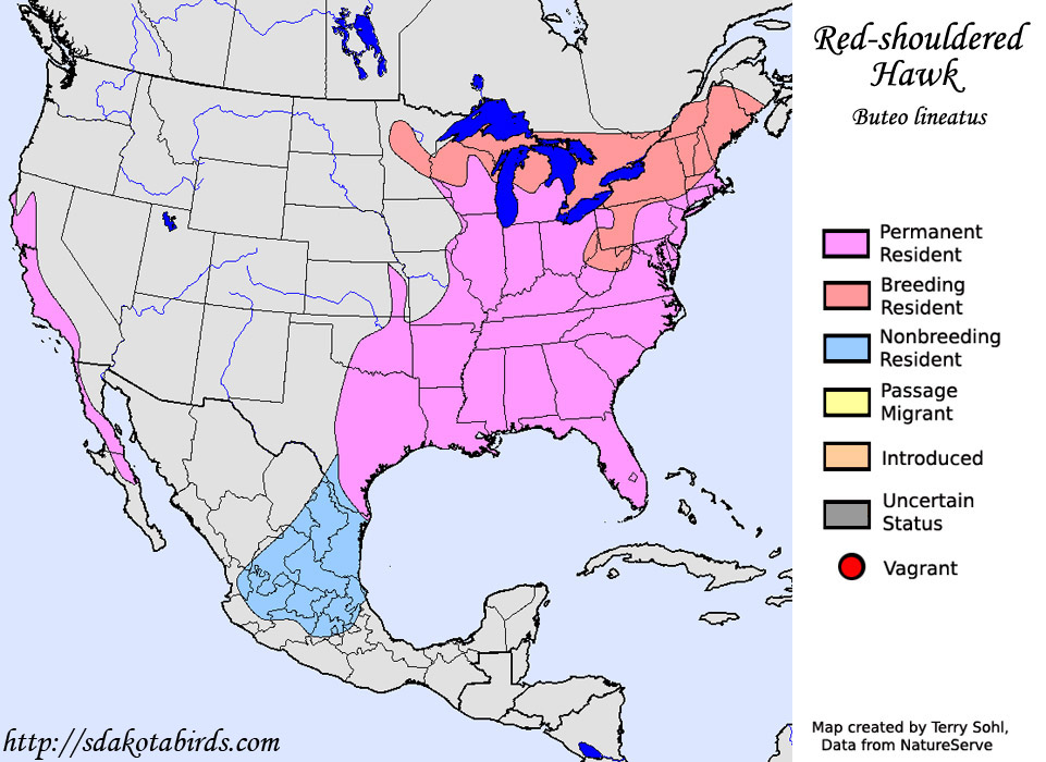 Red-shouldered Hawk - Range Map