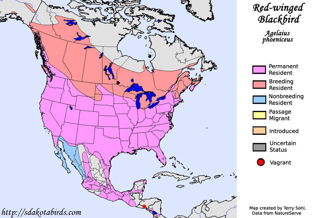 Red-winged Blackbird - Species Range map