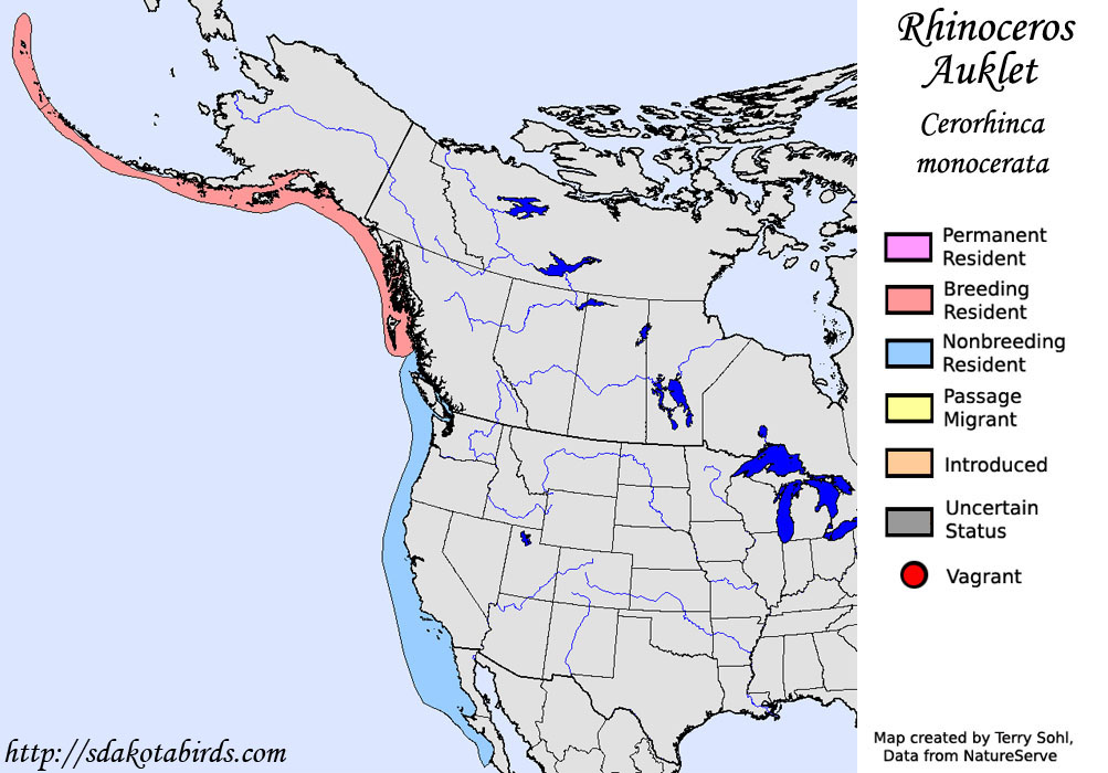 Rhinoceros Auklet - North American Range Map
