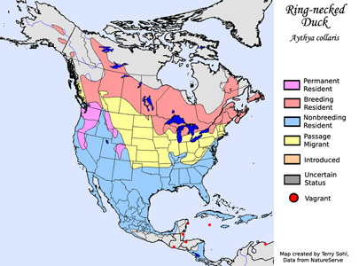 Range Map - Ring-necked Duck