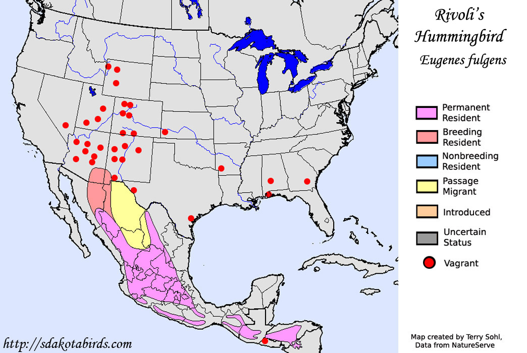 Rivoli's Hummingbird - Eugenes fulgens - Range Map
