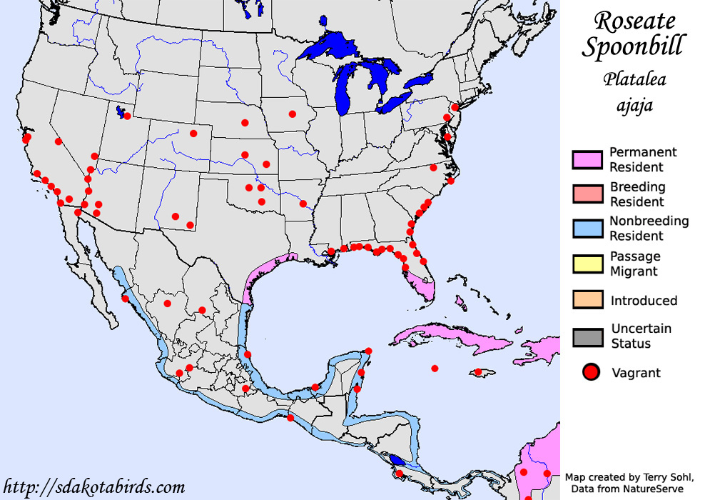 Roseate Spoonbill - North American Range Map