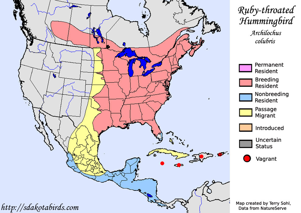 Rubythroated Hummingbird Species Range Map