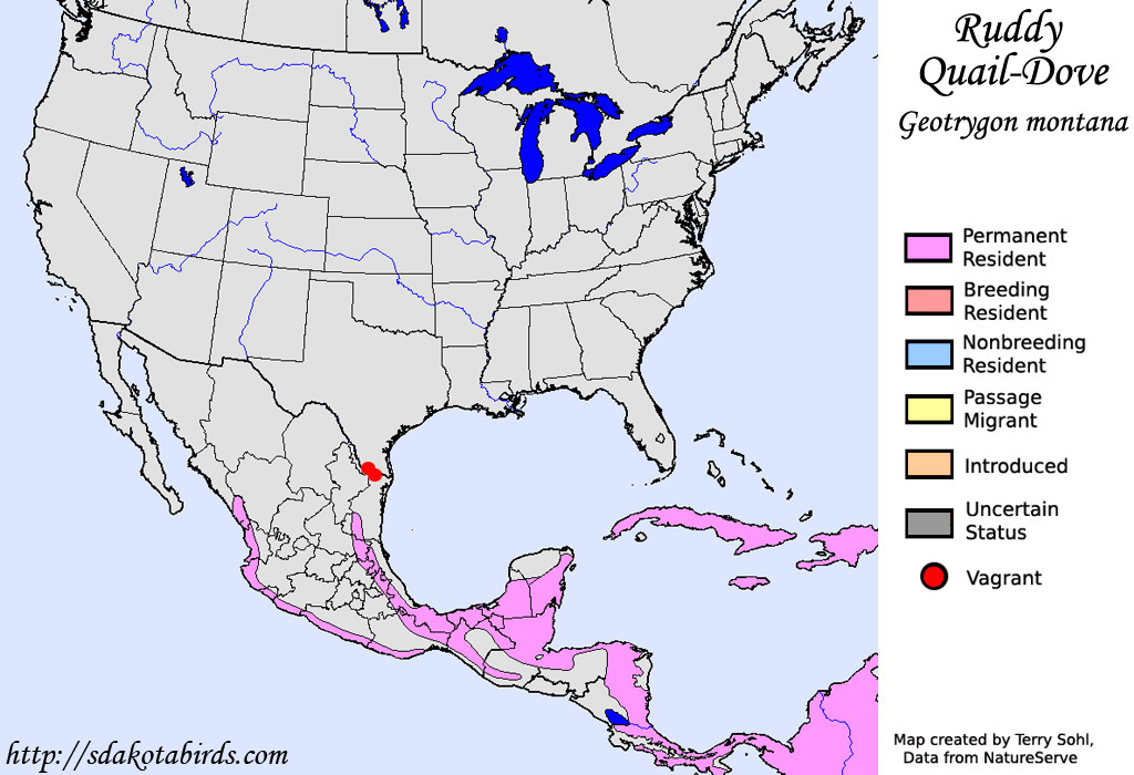 Ruddy Quail-Dove - North American Range Map