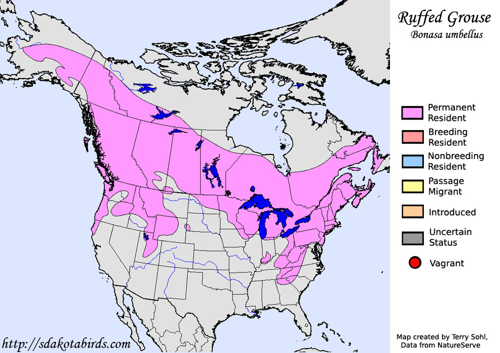 Ruffed Grouse - Range map