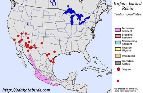 Rufous-backed Robin - Range Map