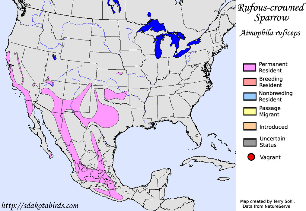 Rufous-crowned Sparrow - North American Range Map
