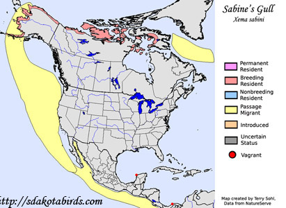 Sabine's Gull - Range Map