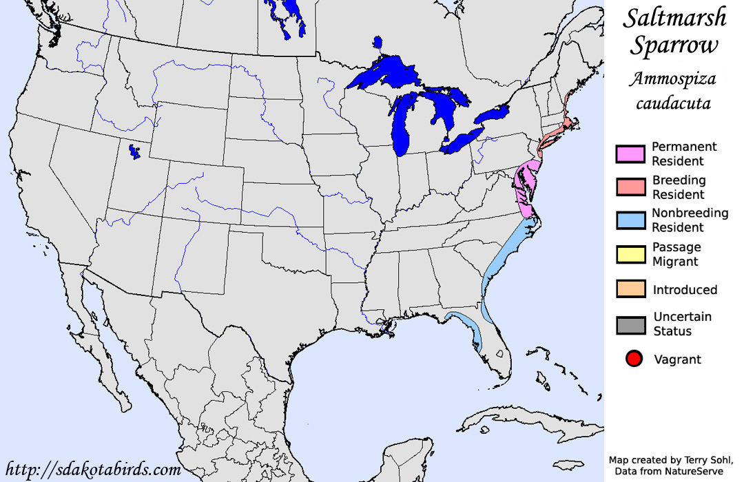 Saltmarsh Sparrow - North American Range Map