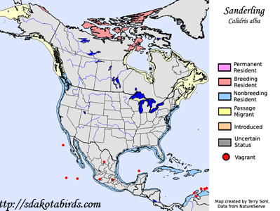Sanderling - Range Map