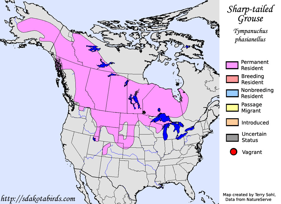 Sharp-tailed Grouse - Range Map