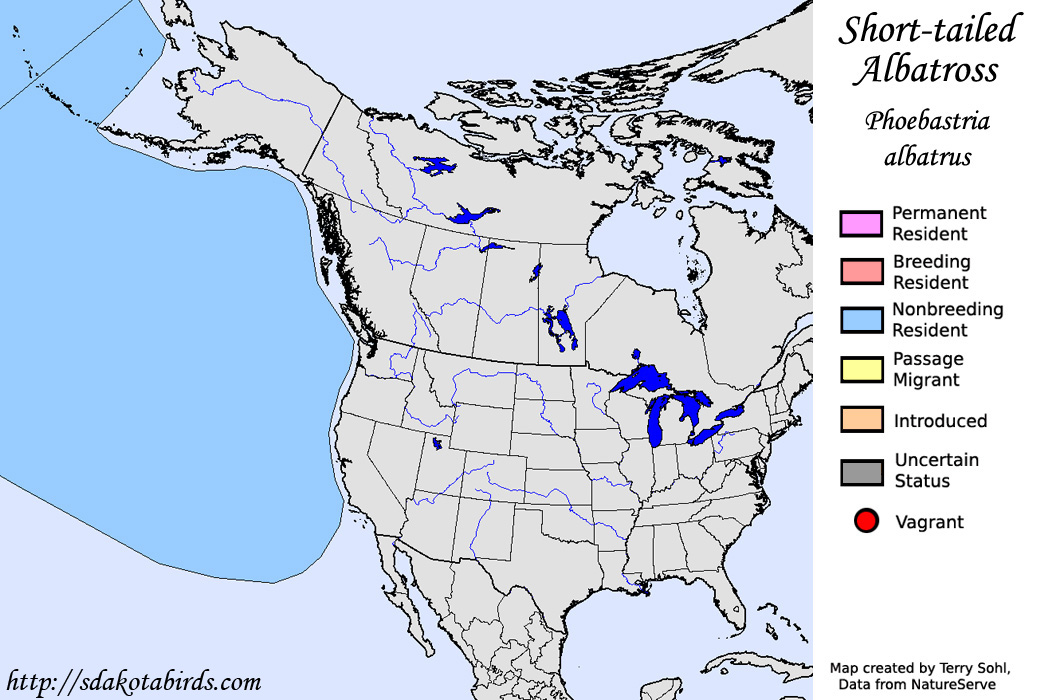 Short-tailed Albatross - North American Range Map