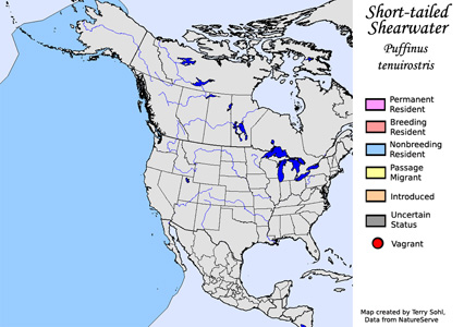 Short-tailed Shearwater - Range Map
